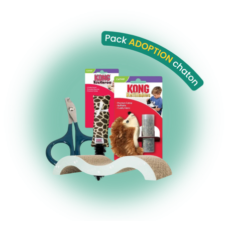 Pack adoption chaton