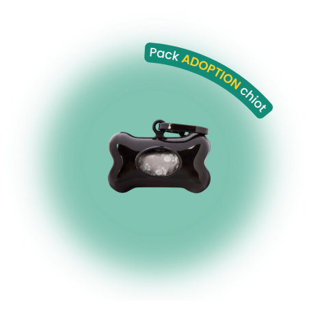 Pack adoption chien