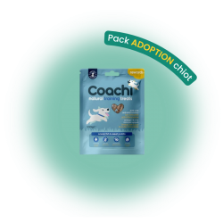 Pack adoption chien