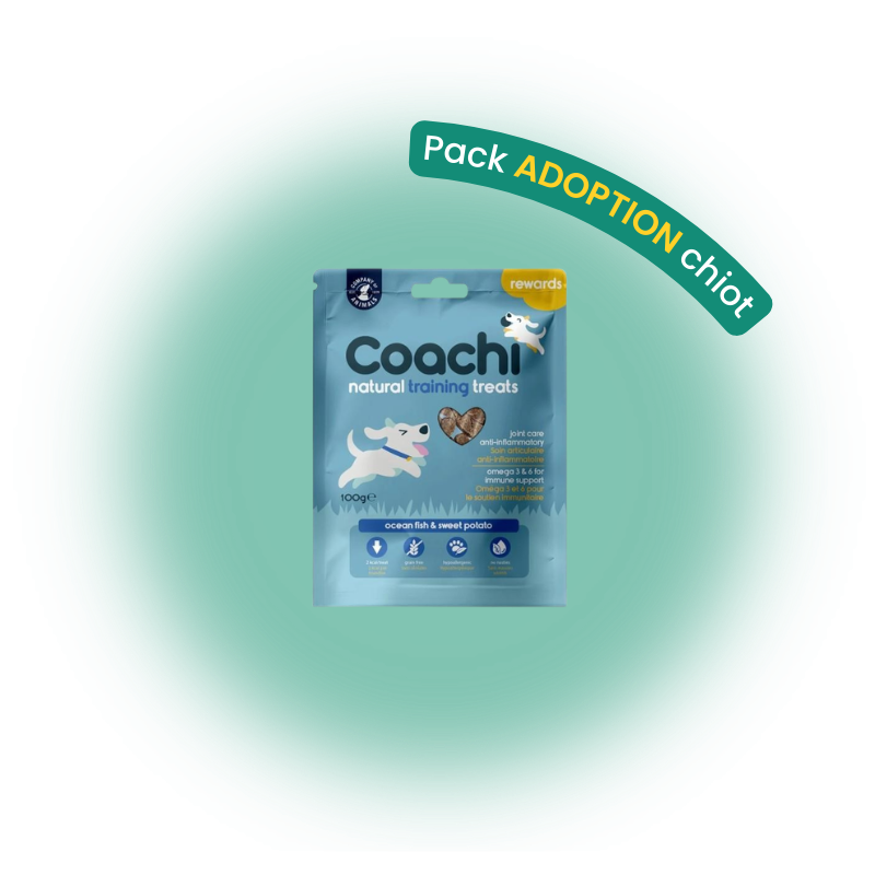 Pack adoption chien