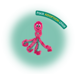 Pack adoption chien