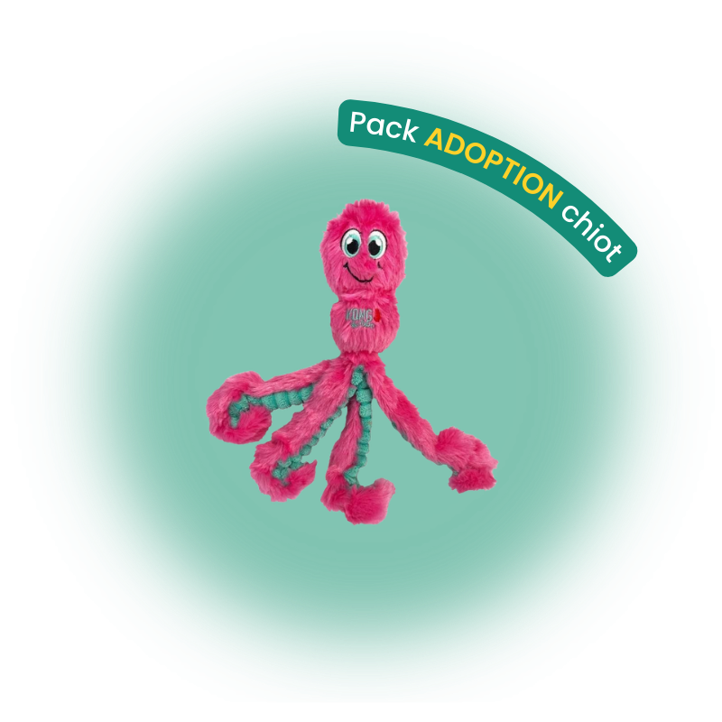 Pack adoption chien