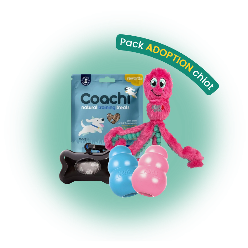 Pack adoption chien