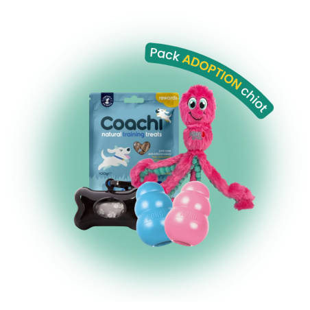 Pack adoption chien