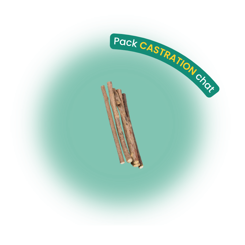 Pack castration chat