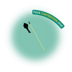 Pack castration chat
