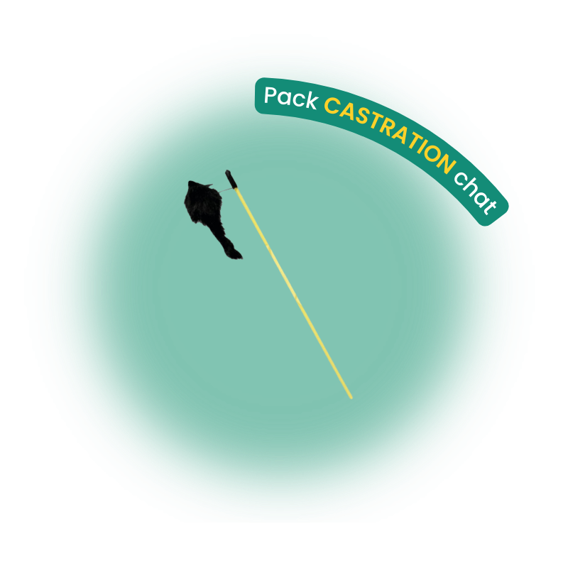 Pack castration chat
