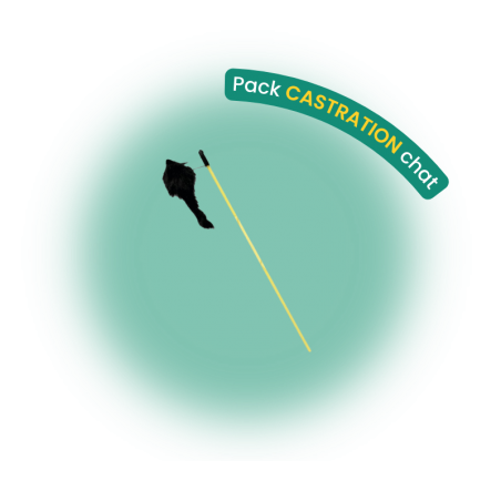 Pack castration chat