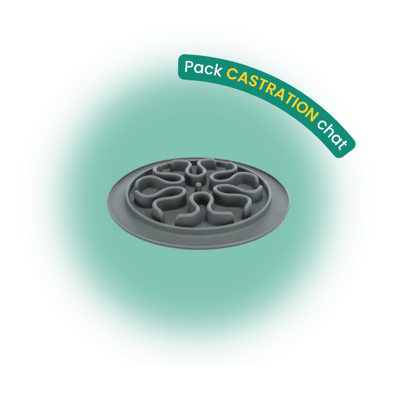 Pack castration chat