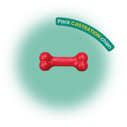 Pack castration chien