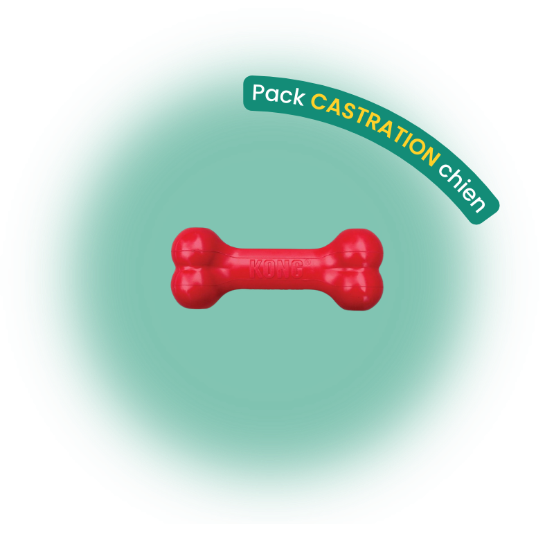 Pack castration chien