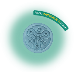 Pack castration chien