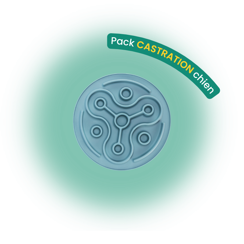 Pack castration chien
