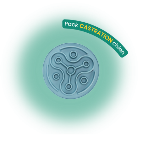 Pack castration chien