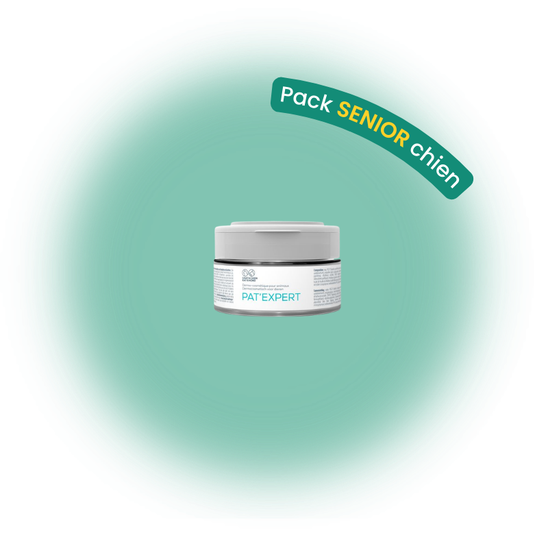 Pack senior chien