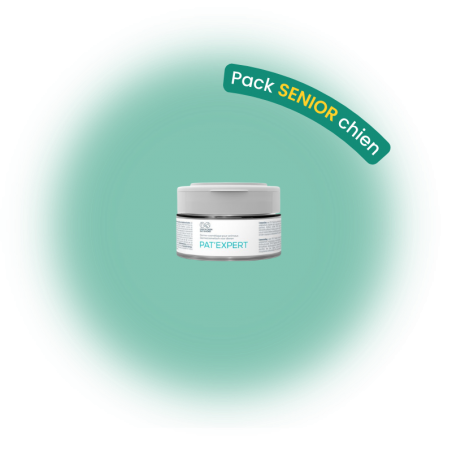 Pack senior chien