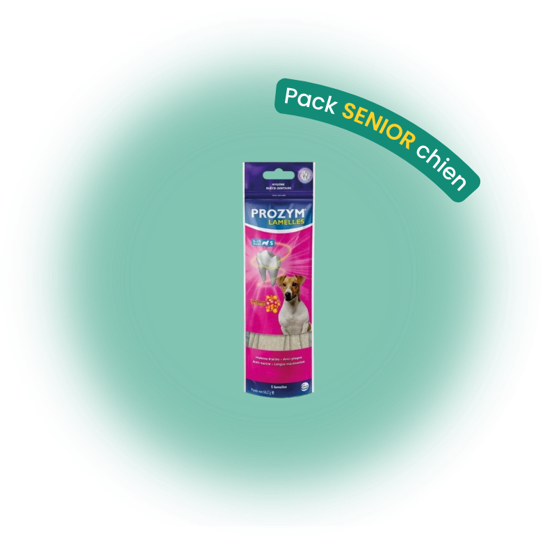 Pack senior chien