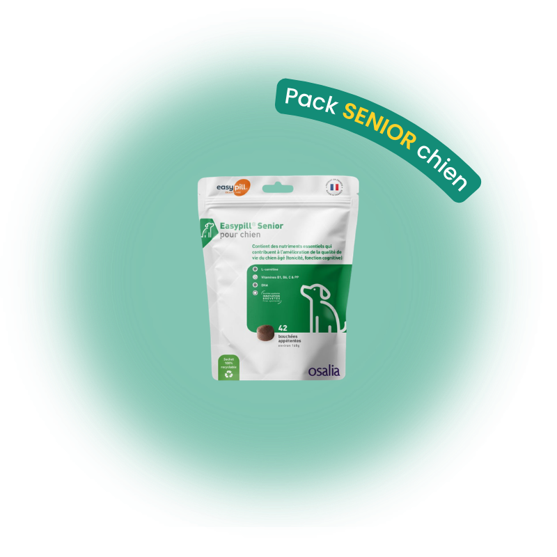 Pack senior chien