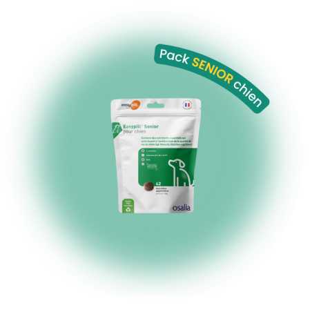 Pack senior chien