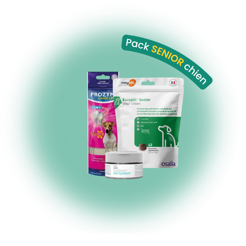 Pack senior chien