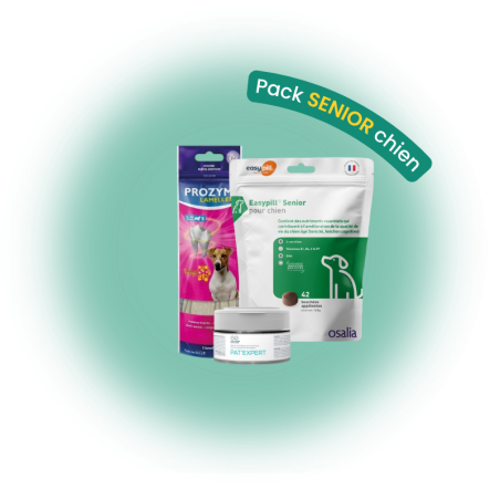 Pack senior chien
